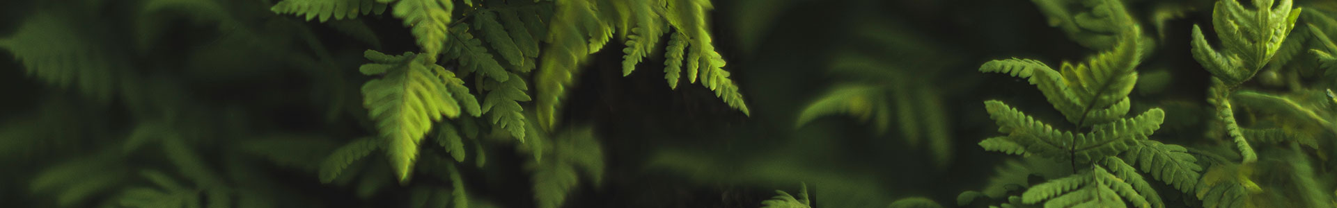 Course Image CS39A0140 Sustainable performance management - Blended teaching, Lahti 1.9.2025-12.12.2025