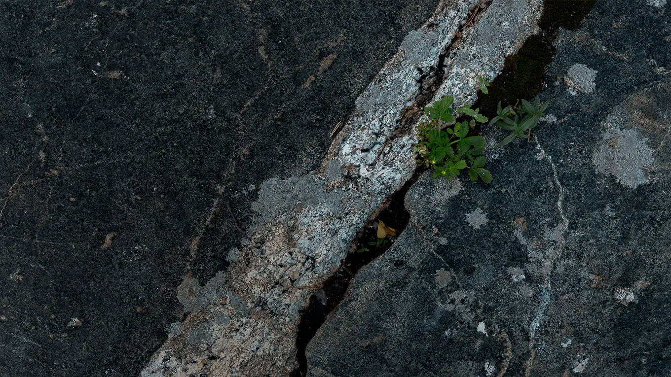 Course Image MOD 11 - Johtajan henkinen ja fyysinen toimintakyky